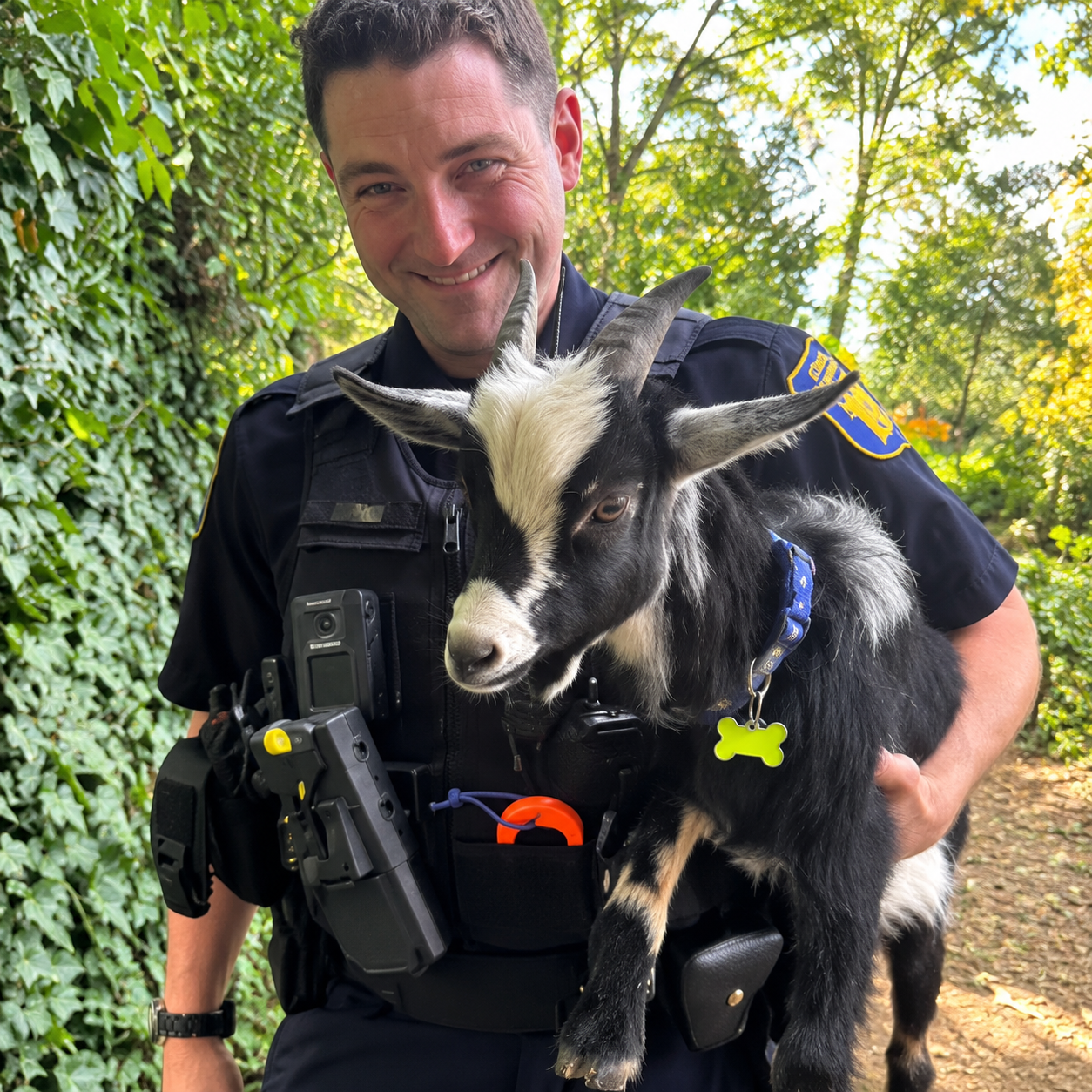 The black-and-white goat being held by a smiling police officer, in artwork adapted from the news photograph.